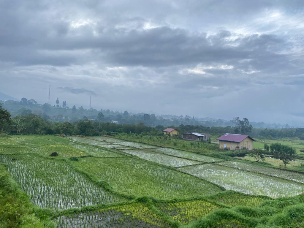 Tanah yang subur merupakan salah satu keunggulan Kampung Uning Pegantungen